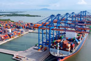 Khi hạ tầng cảng biển, logistics, công nghiệp và doanh nghiệp được kết nối đồng bộ sẽ tạo ra sức lan tỏa. Ảnh: Khiếu Minh