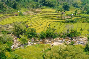 Ruộng bậc thang ở xã Sơn Tây Thượng.