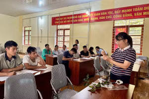 Hướng dẫn kỹ thuật canh tác thích ứng với biến đổi khí hậu cho nông dân xã Phan Thanh.