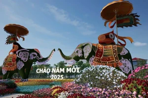 Hình ảnh một lễ hội hoa, cây cảnh tại xã Mê Linh (Hà Nội). 