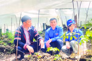 Các chương trình trao tặng cây giống cho thanh niên hỗ trợ khởi nghiệp và thúc đẩy phát triển kinh tế địa phương.