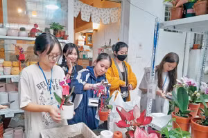 Các bạn trẻ, tình nguyện viên đang chăm chút cho cây, cho hoa để “đổi” lấy rác, phế liệu.