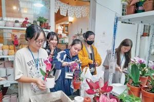 Các bạn trẻ, tình nguyện viên đang chăm chút cho cây, cho hoa để “đổi” lấy rác, phế liệu.