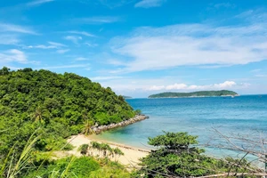 Một góc Khu bảo tồn thiên nhiên Cù Lao Chàm.