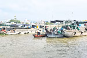 Chợ nổi Cái Răng bắt đầu họp từ 5h đến 9h sáng hằng ngày.