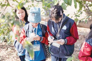 Các em học sinh ghi chép lại những điều quan sát được để cùng hiểu thiên nhiên hơn. Ảnh: Think Playgrounds