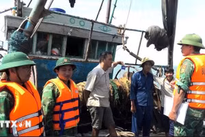 Bộ đội Biên phòng Quảng Trị tích cực tuyên truyền ngư dân thực hiện các quy định trong chống khai thác IUU