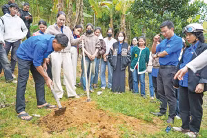 Thanh niên đồng hành cùng thanh niên tạo nên nhiều mô hình hiệu quả và thực chất.