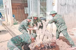 Cán bộ, chiến sĩ sửa nhà giúp dân.