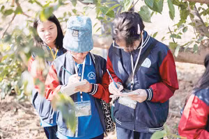 Các em học sinh ghi chép lại những điều quan sát được để cùng hiểu thiên nhiên hơn. Ảnh: Think Playgrounds