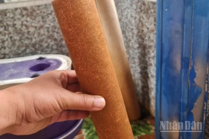 Lõi lọc nước của một hộ dân bị vàng khi chỉ sử dụng trong thời gian ngắn.