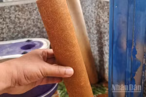 Lõi lọc nước của một hộ dân bị vàng khi chỉ sử dụng trong thời gian ngắn.