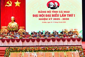 Quang cảnh phiên trù bị Đại hội đại biểu Đảng bộ tỉnh Cà Mau vào sáng 16/10.