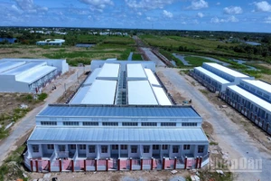 Cà Mau đang thực hiện nhiều giải pháp quyết liệt nhằm đẩy nhanh tiến độ xây dựng nhà ở xã hội cho người lao động.