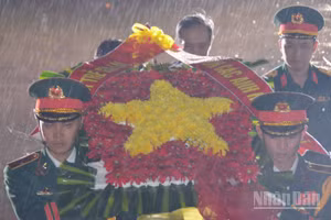 Trân trọng quá khứ, vững bước tương lai.