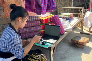 Việc thành thạo các kỹ năng sử dụng công nghệ số giúp chị Hà Thị Thảo điều hành Hợp tác xã dệt bông tốt hơn.