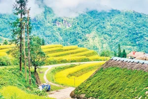 Như một miền cổ tích.