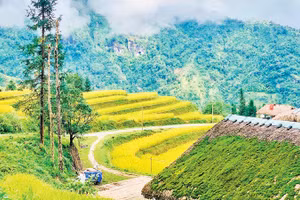 Như một miền cổ tích.