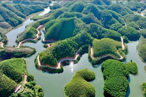 Vẻ đẹp và tiềm năng cần được bảo vệ để khai thác bền vững của hồ Thác Bà. (Ảnh Thanh Miền).