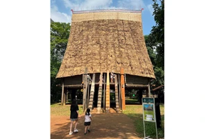 Ngôi nhà rông "con" của làng Kon Rbàng, tại Bảo tàng Dân tộc học Việt Nam, sau khi được sửa chữa lần thứ ba.