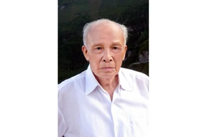 Nhà nghiên cứu Võ Hồng Huy.