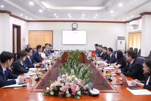 Toàn cảnh buổi làm việc giữa Cục Sở hữu trí tuệ Việt Nam và Bộ Sở hữu trí tuệ Hàn Quốc (MOIP).