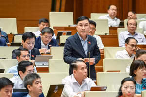 Đại biểu Quốc hội Lê Hoàng Anh (Đoàn Gia Lai) nêu ý kiến trong phiên thảo luận ở hội trường sáng 21/4. (Ảnh: DUY LINH)