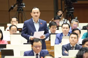 Đại biểu Nguyễn Ngọc Sơn (Đoàn ĐBQH TP Hải Phòng) phát biểu trong phiên thảo luận ở hội trường về tình hình kinh tế-xã hội chiều 20/4. (Ảnh: DUY LINH)