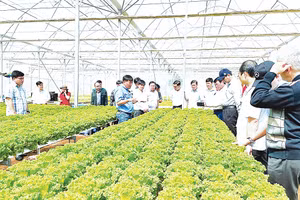 Đồng Nai tích cực ứng dụng công nghệ vào phát triển nông nghiệp.