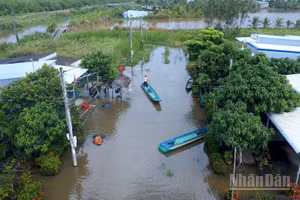 Một góc con đường gần 2km tại Kênh Tư ngập sâu, người dân phải dùng xuồng di chuyển trên mặt đường. 