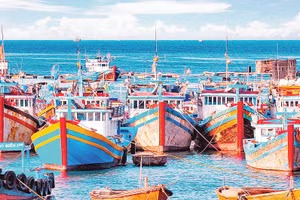 Nhiều tàu cá ở miền trung đã sử dụng công nghệ để ra khơi khai thác hải sản hiệu quả và bền vững. Ảnh: Ng Lân