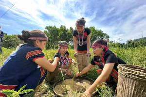 Việc ban hành chính sách đất đai dành riêng cho đồng bào dân tộc thiểu số tại Đà Nẵng sau sáp nhập là cần thiết.