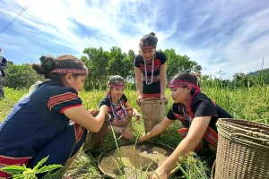 Việc ban hành chính sách đất đai dành riêng cho đồng bào dân tộc thiểu số tại Đà Nẵng sau sáp nhập là cần thiết.