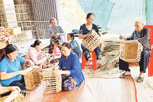 Các sản phẩm thủ công từ thân cây năn tượng có giá trị cao. 