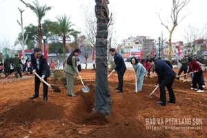 Các đồng chí lãnh đạo tỉnh trồng cây tại lễ phát động.