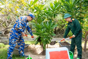 Thượng tá Nguyễn Duy Bá - Chủ nhiệm Chính trị Lữ đoàn 146 (bên trái) trồng cây lưu niệm trên đảo Song Tử Tây trong chuyến công tác đầu tháng 1/2026.