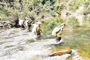 Lực lượng chức năng tuần tra, bảo vệ rừng ở Vườn quốc gia Pù Mát, Nghệ An.