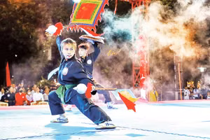 Biểu diễn võ cổ truyền Bình Định. Ảnh: QN