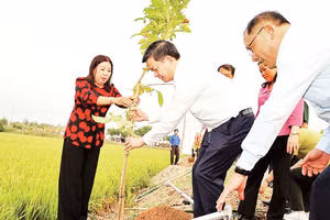 Hoạt động Tết trồng cây được tổ chức tại thành phố Cần Thơ ngày 23/2. 