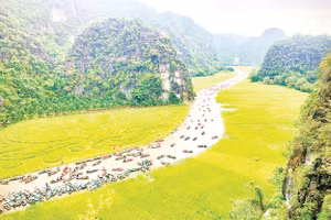 Rực rỡ Lễ hội Sắc vàng Tam Cốc 2025.