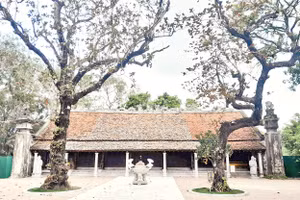 Chính điện Thái miếu nhà Hậu Lê.