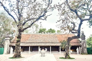 Chính điện Thái miếu nhà Hậu Lê.