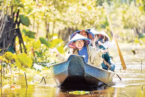 Rừng tràm Trà Sư (An Giang) thu hút du khách trong nước và quốc tế.