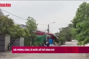 [Video] Hải Phòng cùng cả nước gỡ thẻ vàng IUU