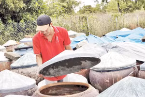 Nghề làm nước mắm Phan Thiết (Bình Thuận cũ, nay là Lâm Đồng). 