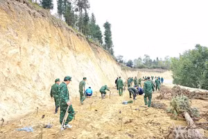 Cán bộ, chiến sĩ Đồn Biên phòng Bản Máy cùng nhân dân tham gia trồng 1.200 cây sa mộc xây dựng “Vành đai biên giới xanh”. 