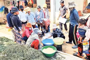 Lớp học phòng và trị bệnh cho vật nuôi.