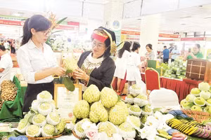 Sản phẩm na Chi Lăng, tỉnh Lạng Sơn, được quảng bá trong Phiên chợ nông sản, đặc sản vùng miền diễn ra tại Hà Nội.