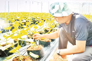 Tỉnh Đồng Nai xây dựng thành công nhiều mô hình nông nghiệp xanh. 