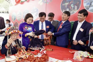 Phó Chủ tịch UBND tỉnh Phùng Thị Kim Nga và các đại biểu tham quan các khu trưng bày giới thiệu nét đẹp văn hoá, sản phẩm, món ăn đặc sắc của địa phương.